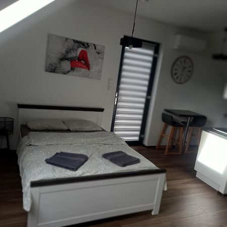 Apartament Muzyczny Jelenia Góra Kültér fotó