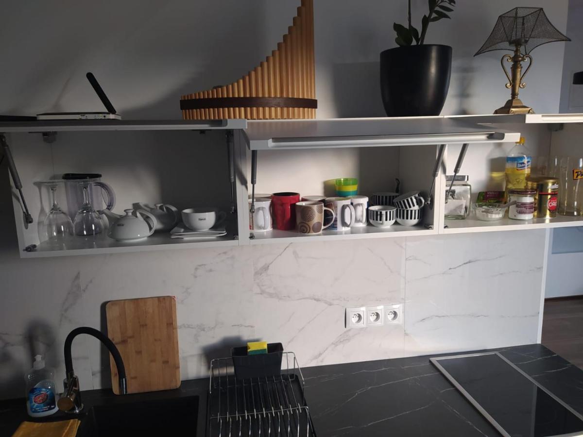 Apartament Muzyczny Jelenia Góra Kültér fotó