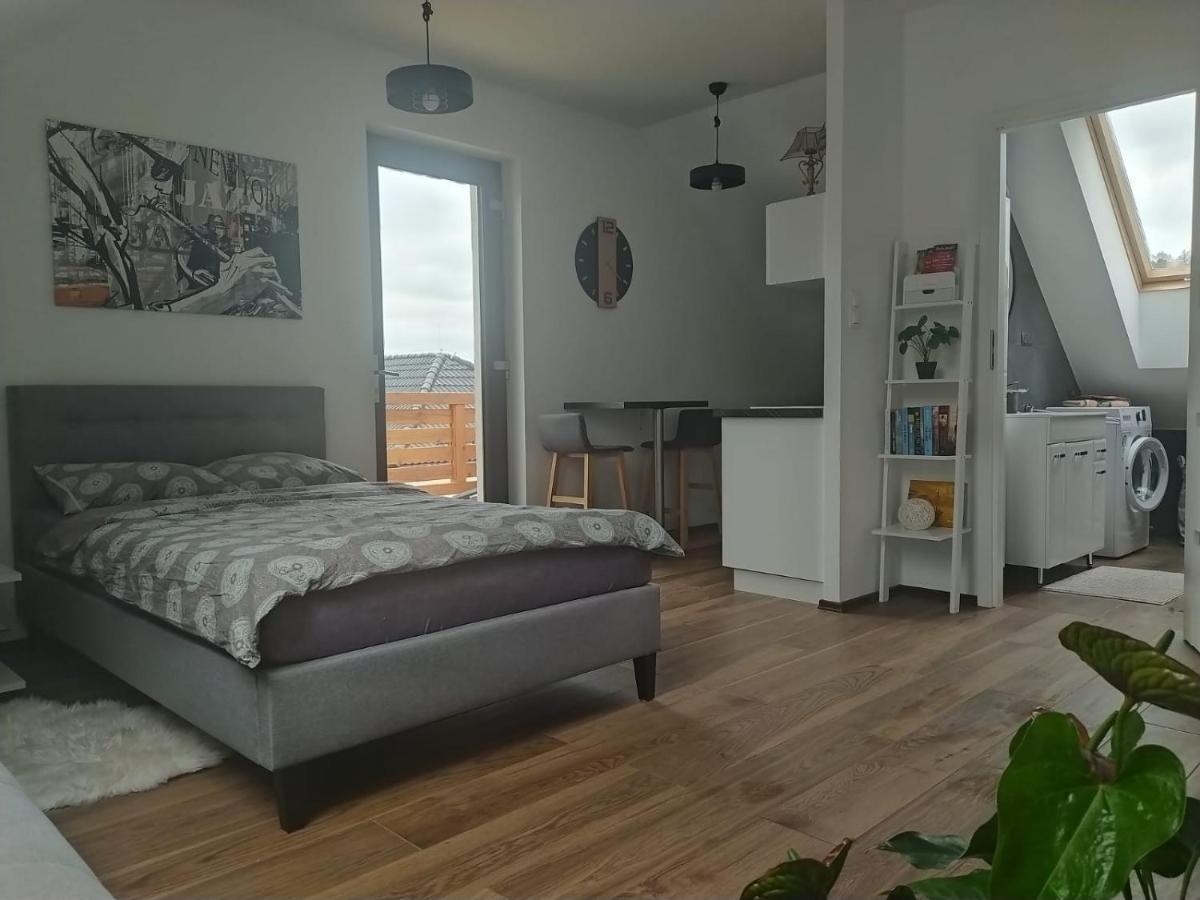 Apartament Muzyczny Jelenia Góra Kültér fotó